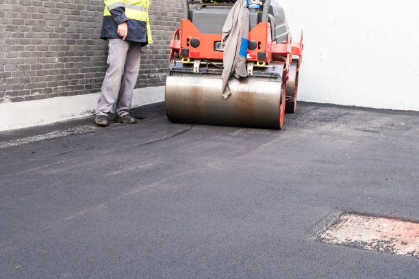 Best Driveway Border and Edging  in Carlstadt, NJ